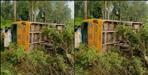 school bus hadsa in haldwani