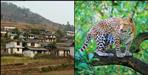 Bharatpur Pauri Garhwal People left village because of Leopard