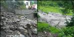 Crop wasted due to excessive rainfall in Rudraprayag district