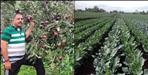 Story of almora gopal upreti farming