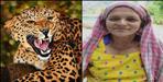 Leopard attack on woman in Pauri Garhwal