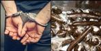 Up zila panchayat sadasya amaranth arrested in nainital