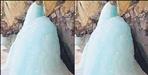 Shivling made of ice in Nelang Valley