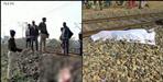 One person died after being hit by a train in Pantnagar