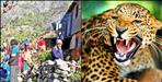 Leopard Killed Old Lady in New Tehri