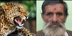 Almora Tadikhet Block maneater Leopard