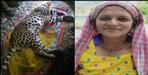 Leopard got hit in Pauri Garhwal