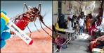 Dengue fever spreading in Dehradun Raipur hotspot