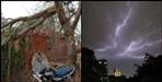Tree fallen in Champawat three died