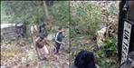 Car fell into a ditch in Pauri Garhwal Satpuli