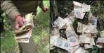500 and 1000 rupee notes found in Nainital forest