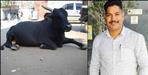 Bike bull collision in Haldwani 1 death