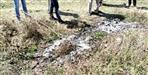 Skeleton found in the forest at almora