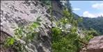 Chamoli Landslides Block Karnaprayag-Simli Road