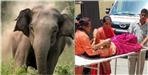 Elephant attack on woman in Kotdwar forest
