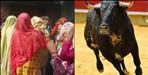 bull attacked farmer in haridwar