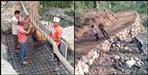 The villagers built the road themselves in Pauri Garhwal