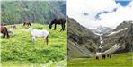 Uttarakhand Sinla Pass and Sarutal Bugyal Declared Trek of The Year