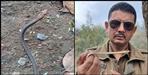 Brojback tree snake found in dehradun