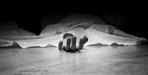 MBBS student died under suspicious circumstances in Dehradun