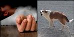 Haridwar girl dies of rabies infection