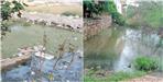 Police Impose Fine For Water in Empty Plot in Dehradun