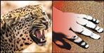 Girl child killed in leopard attack chamoli narayanbagar