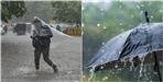 Uttarakhand Weather Forecast 04 June 2024