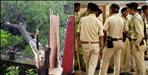 Chandan taskar cut trees in haldwani alok panday house