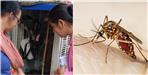There is High Risk of Dengue in These 34 Areas in Dehradun