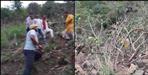 Bus fell into a ditch in Uttarkashi