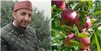 Naveen Quit His Job Now Earns Lakhs Growing Apples in Village