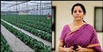Uttarakhand will become herbal state