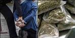 BBA student arrested while selling ganja in Dehradun