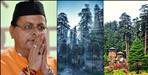1000 cedar trees will not be cut in Jageshwar