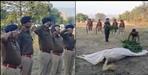 uttarakhand police horse raja died