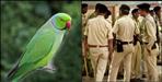 Fight between two women for a parrot in Roorkee