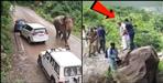 Elephant came in front of former CM Trivendra Singh Rawat
