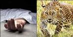 Leopard Kills Woman in Pauri Garhwal