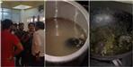 Video of Rats in the Kitchen of IIT Roorkee goes viral