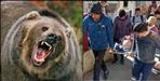 Bageshwar Bear Attack on Bhagat Singh Koranga