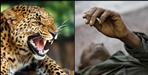 Leopard attacked a Garhwal Rifles soldier in lancedone