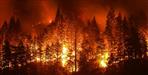 Women burn in jungle fire in bageshwar uttarakhand
