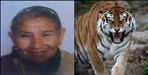 Elderly Woman Killed in Tiger Attack in Khatima