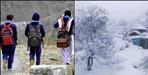 holidays from 25 Dec to 31 Jan in 156 schools of Dehradun