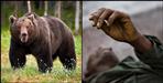 Bear attack on Shamsher Singh and Hardei Devi of Uttarkashi