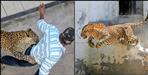 Leopard attack on people driving scooty in Pauri Garhwal
