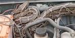 Giant Python Found Inside Jeep in Ramnagar