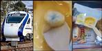 Curd with fungus given in Vande Bharat Railways took immediate action