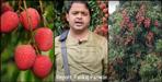 Litchi production is decreasing in Dehradun